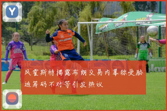 风霍斯特揭露布朗交易内幕称受胁迫筹码不对等引发热议